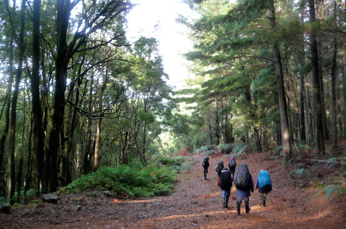 Walkers trek through stunning wilderness in Tasmania |  <i>Anne Jordan</i>