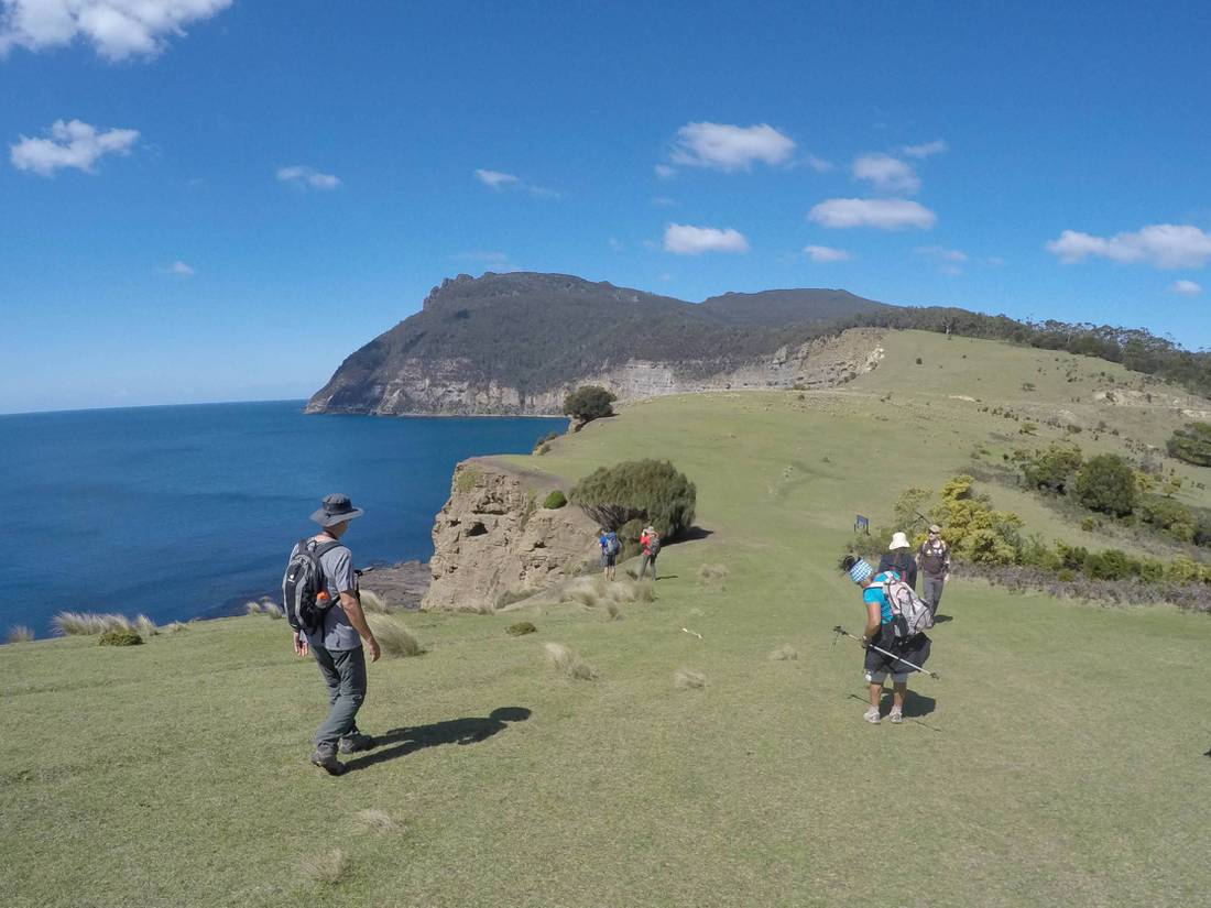 On the trail towards Bishop & Clerk on Maria Island | <i>Brad Atwal</i>