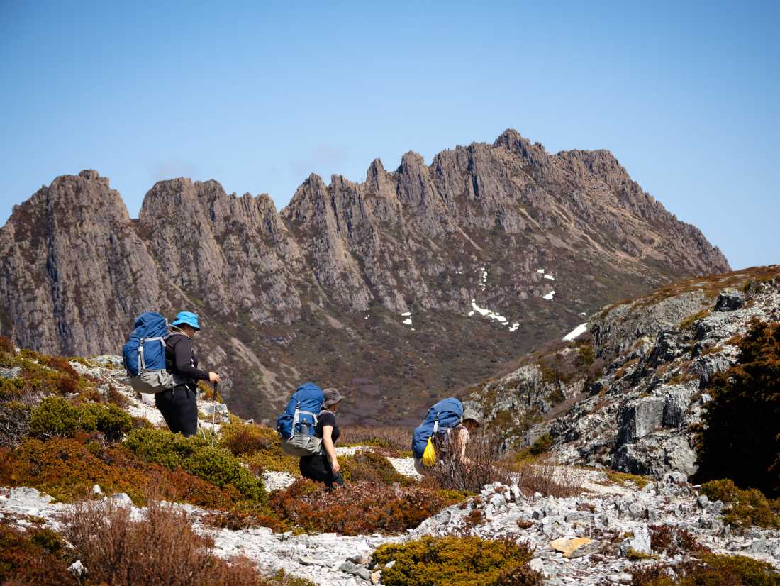 Trekking Tasmania's Overland Track |  Matt Horspool