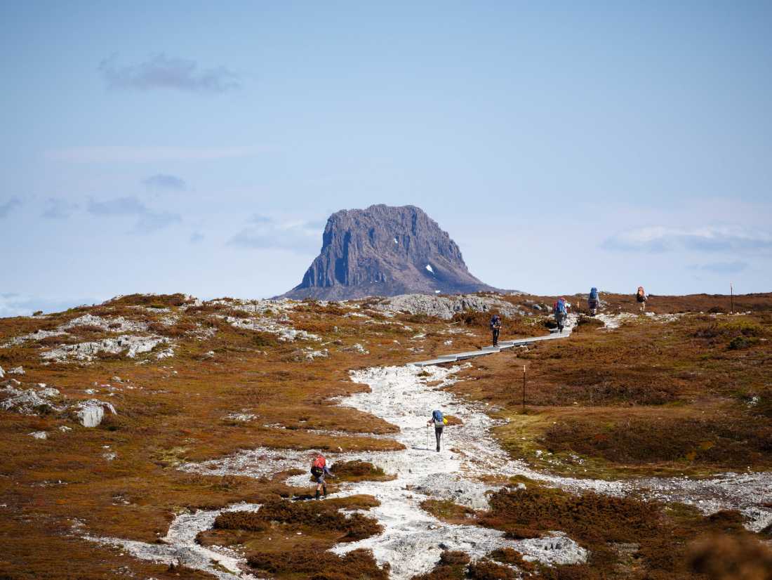 Trekking Tasmania's Overland Track |  Matt Horspool